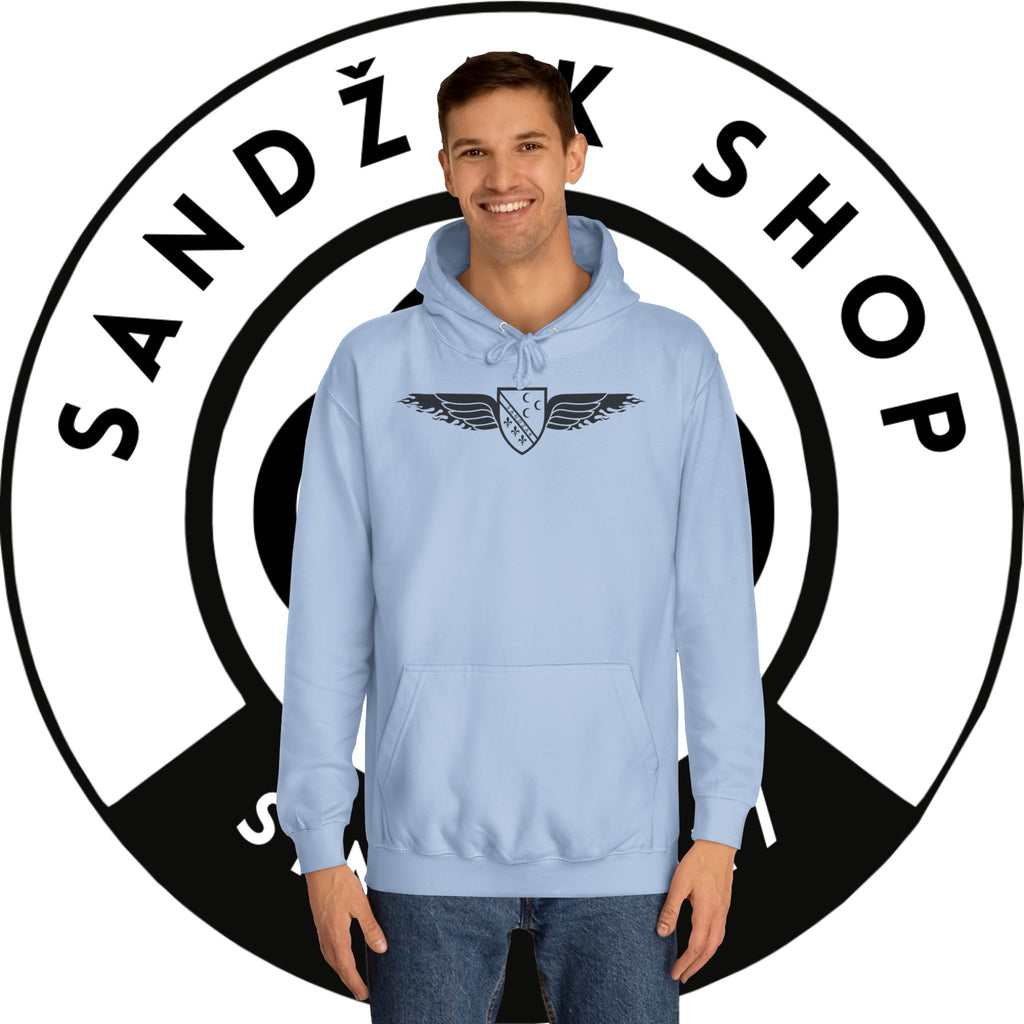 Winged Shield Hoodie — Minimal Vintage Collegiate Logo Sweatshirt