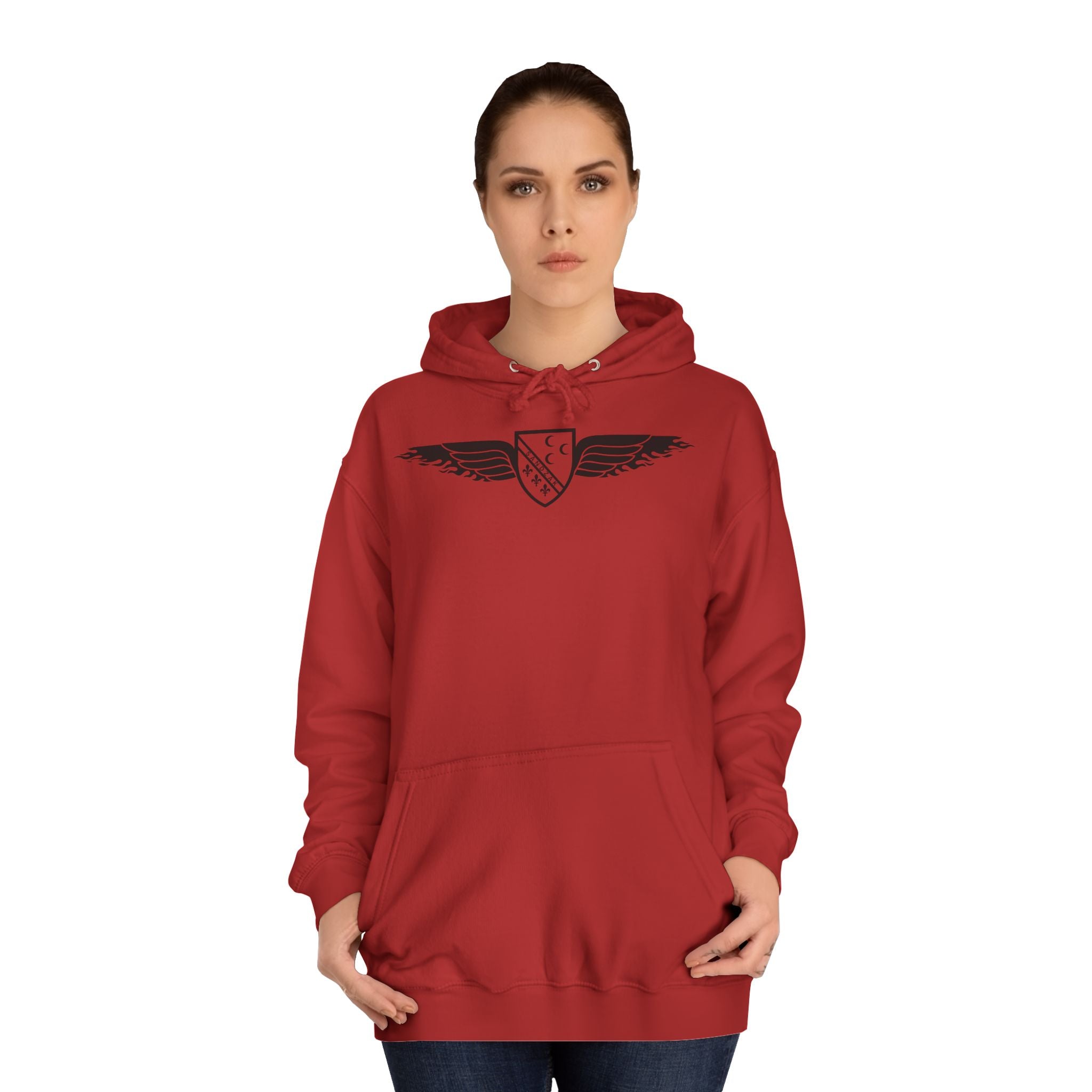Winged Shield Hoodie — Minimal Vintage Collegiate Logo Sweatshirt