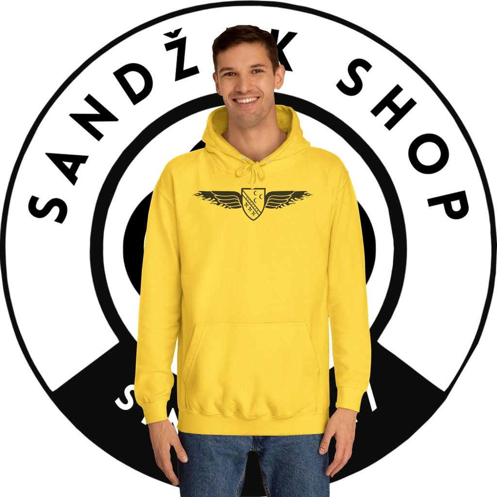 Winged Shield Hoodie — Minimal Vintage Collegiate Logo Sweatshirt