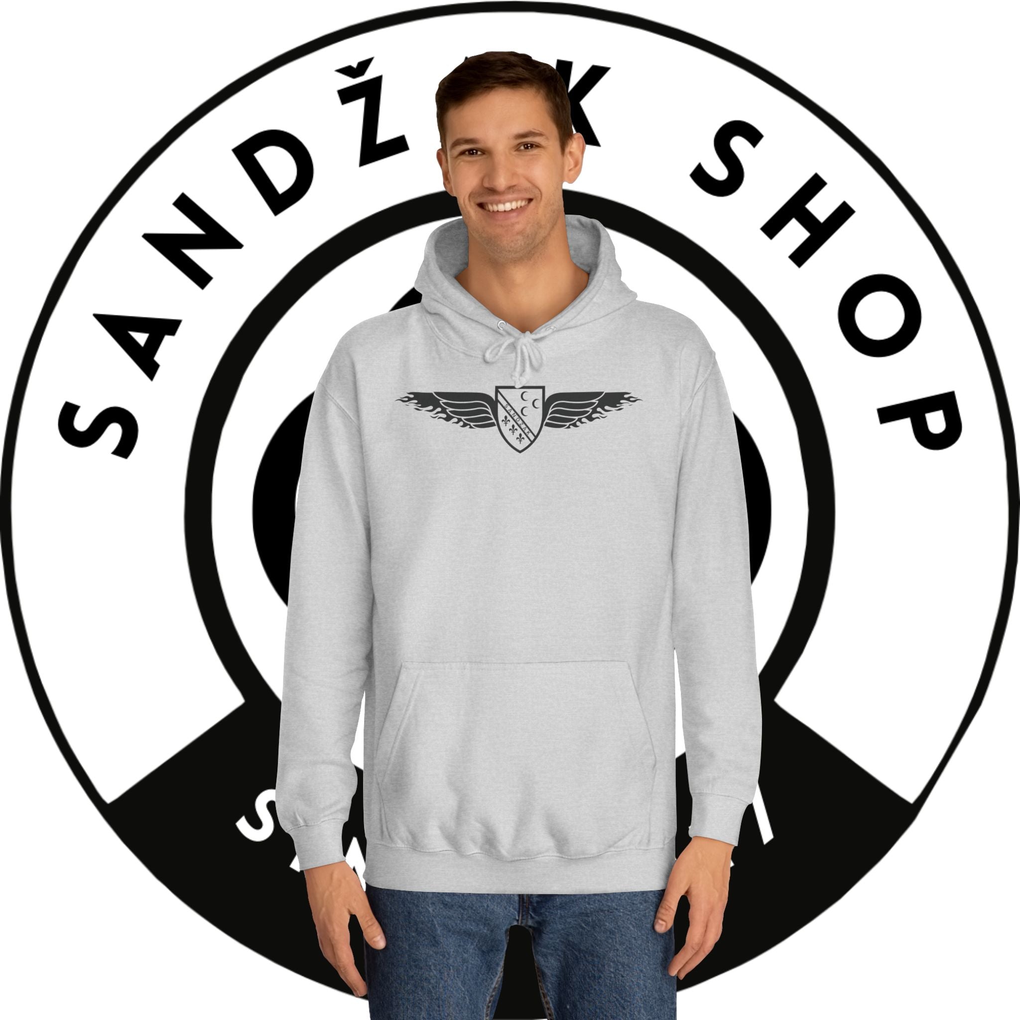 Winged Shield Hoodie — Minimal Vintage Collegiate Logo Sweatshirt