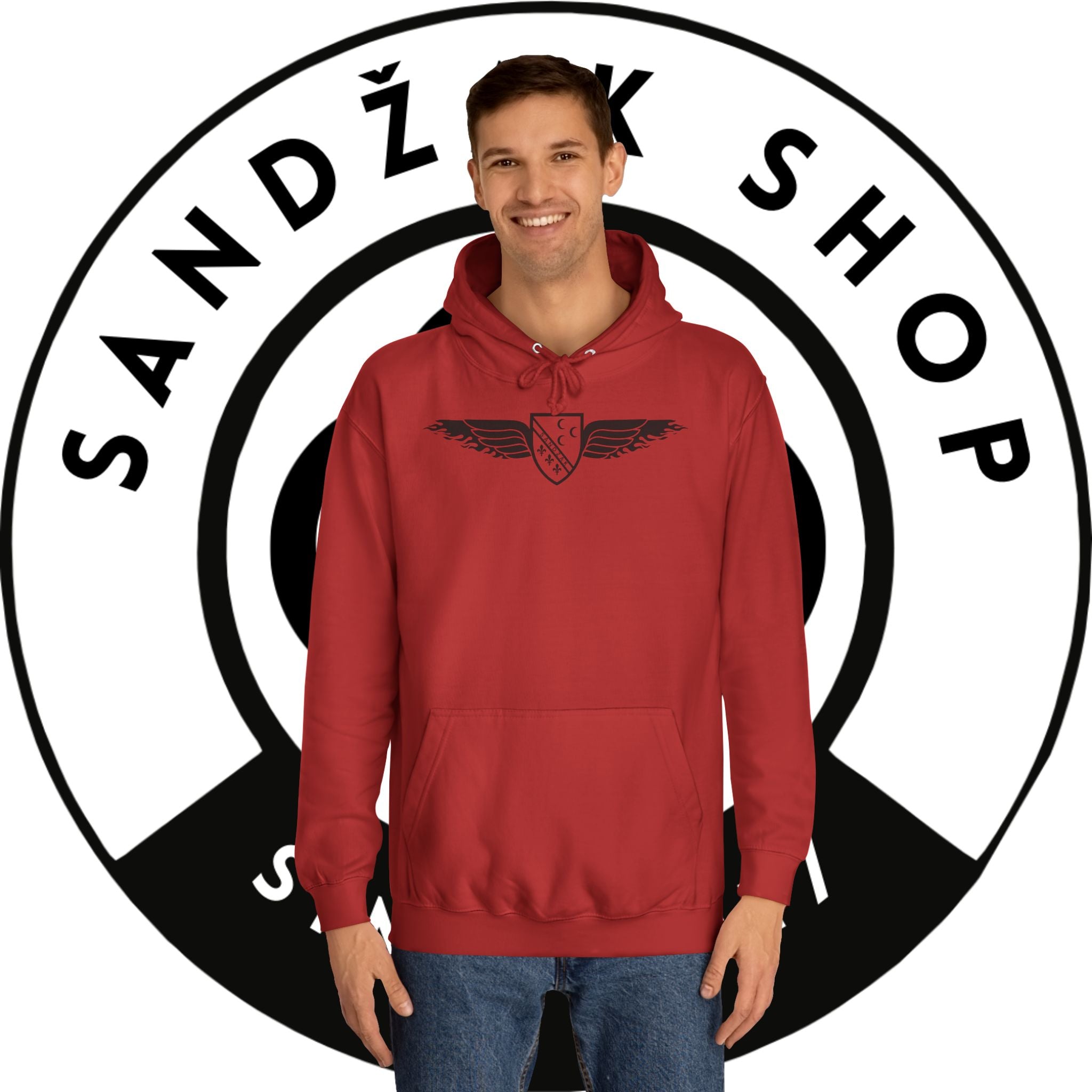 Winged Shield Hoodie — Minimal Vintage Collegiate Logo Sweatshirt