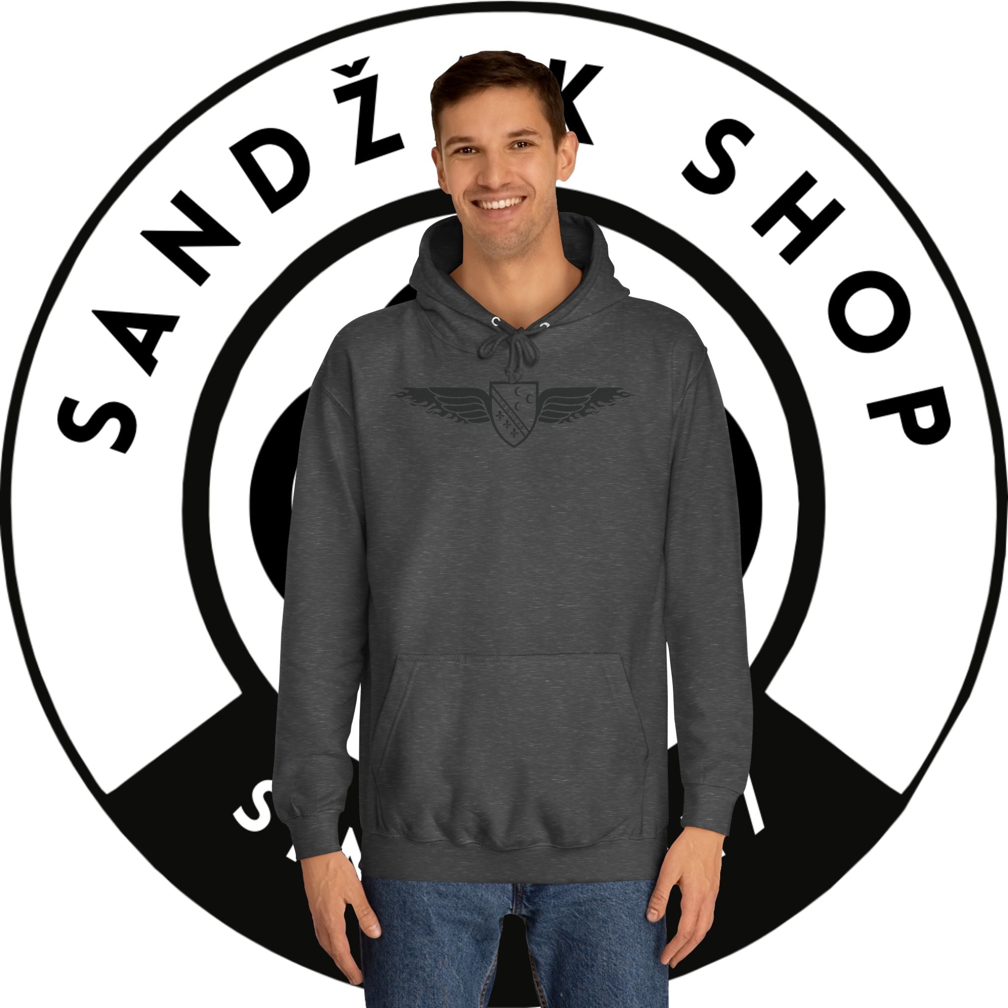 Winged Shield Hoodie — Minimal Vintage Collegiate Logo Sweatshirt