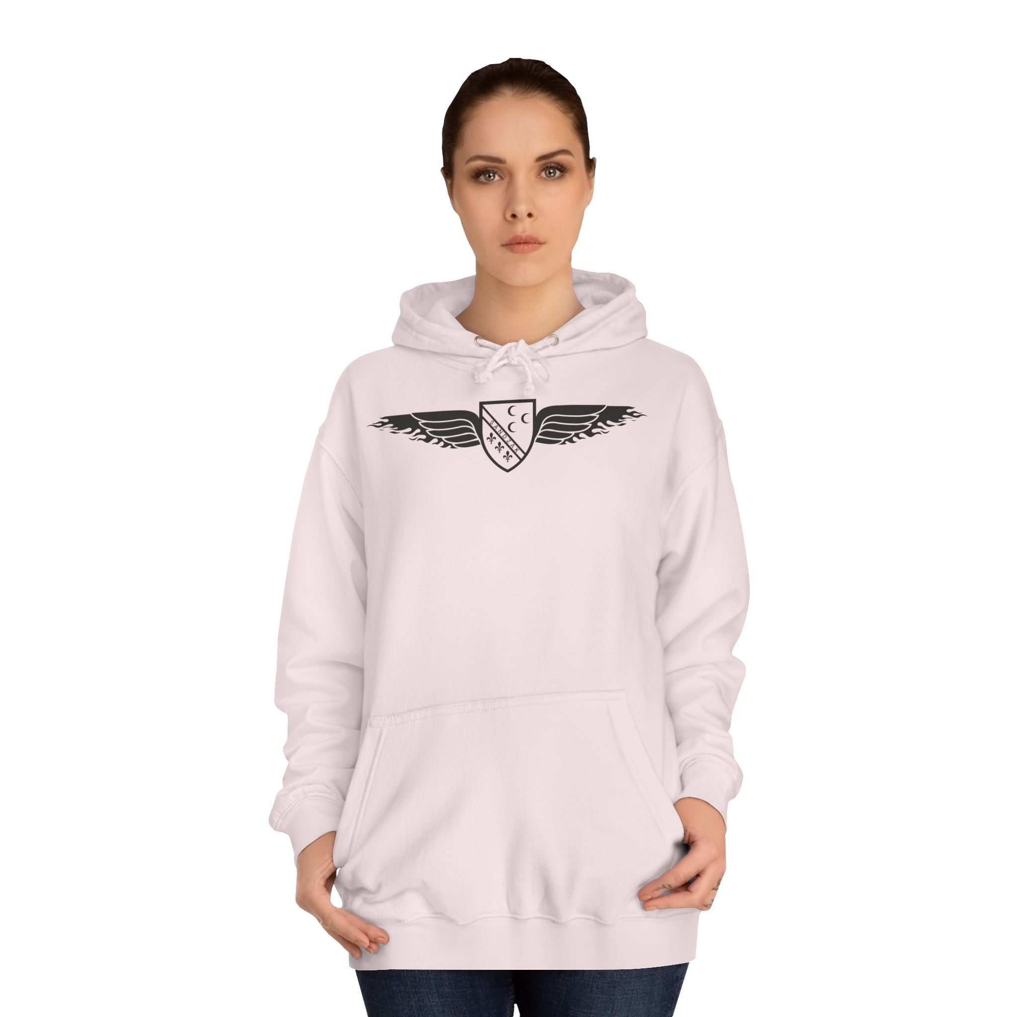 Winged Shield Hoodie — Minimal Vintage Collegiate Logo Sweatshirt