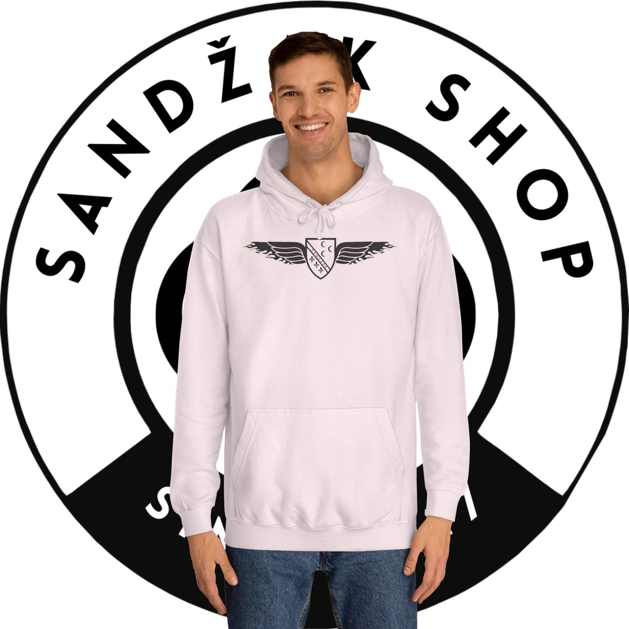 Winged Shield Hoodie — Minimal Vintage Collegiate Logo Sweatshirt