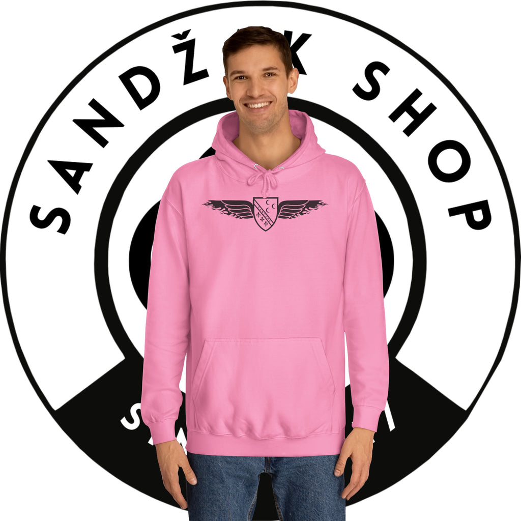 Winged Shield Hoodie — Minimal Vintage Collegiate Logo Sweatshirt