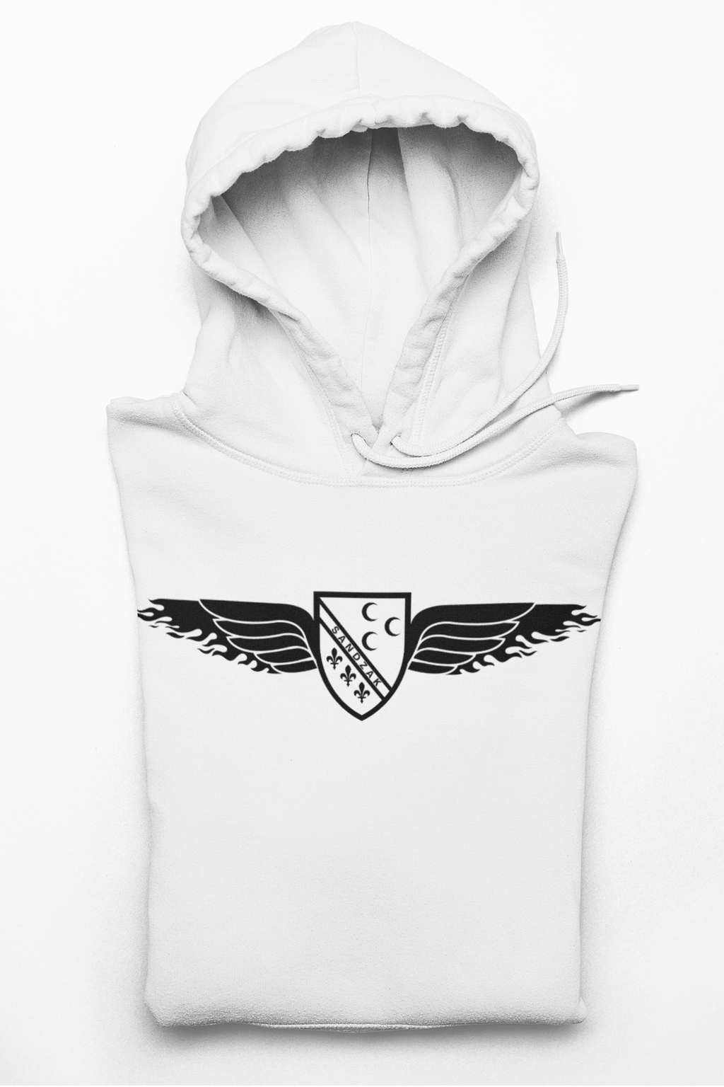 Winged Shield Hoodie — Minimal Vintage Collegiate Logo Sweatshirt