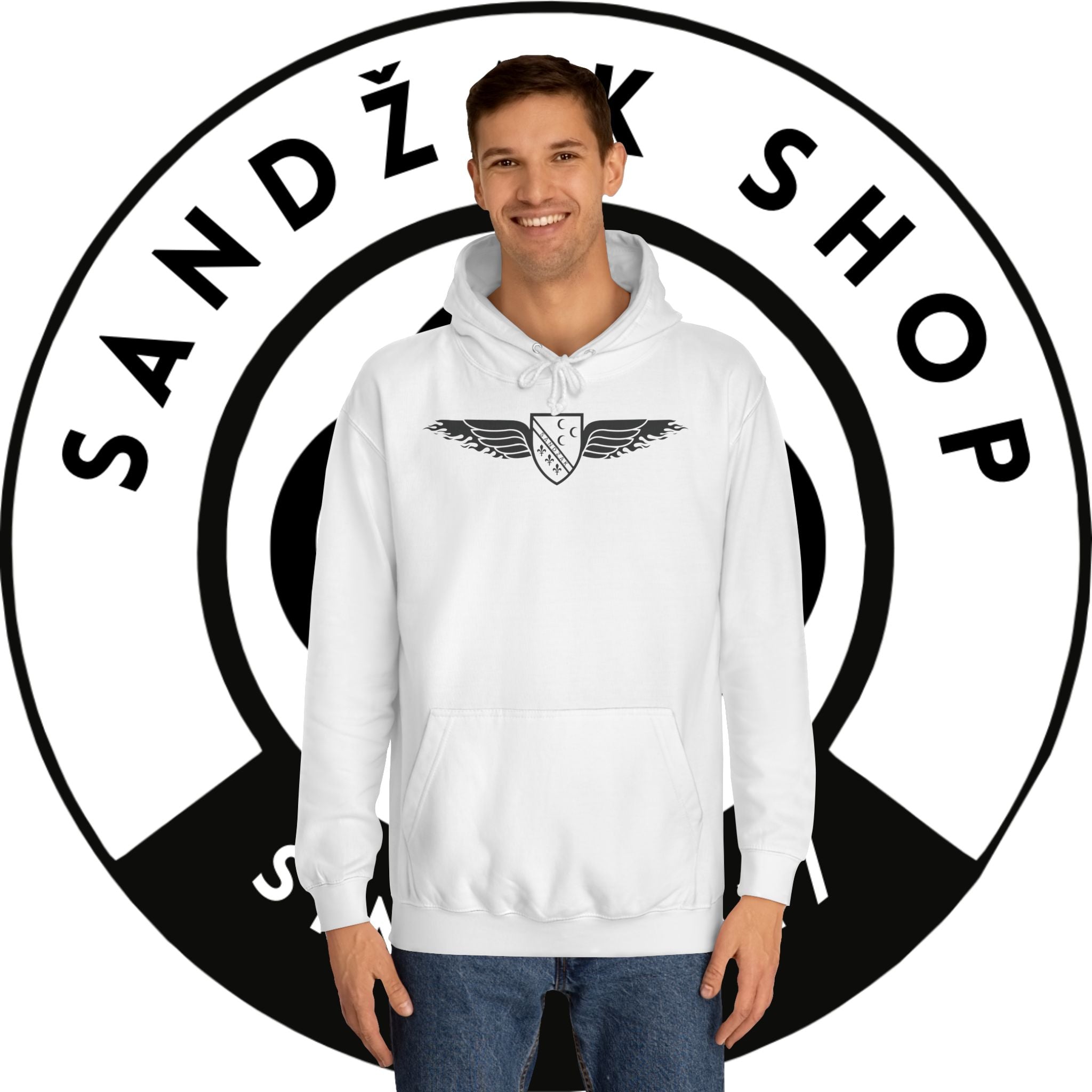 Winged Shield Hoodie — Minimal Vintage Collegiate Logo Sweatshirt